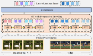 PVC framework for progressive visual token compression across image and video inputs.